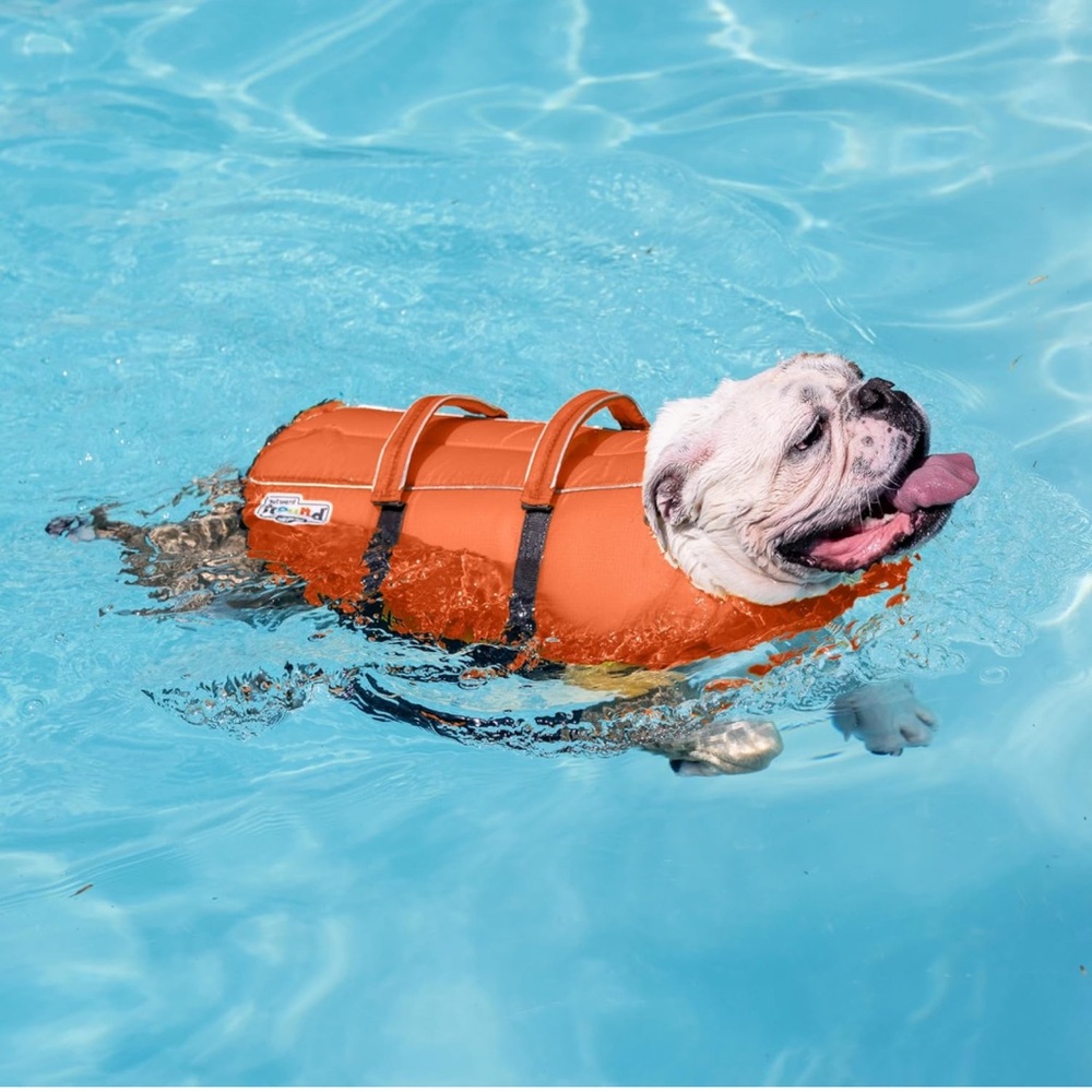NWOT Outward Hound Graby Splash Orange Dog Life Jacket Sz Medium - Picture 9 of 9